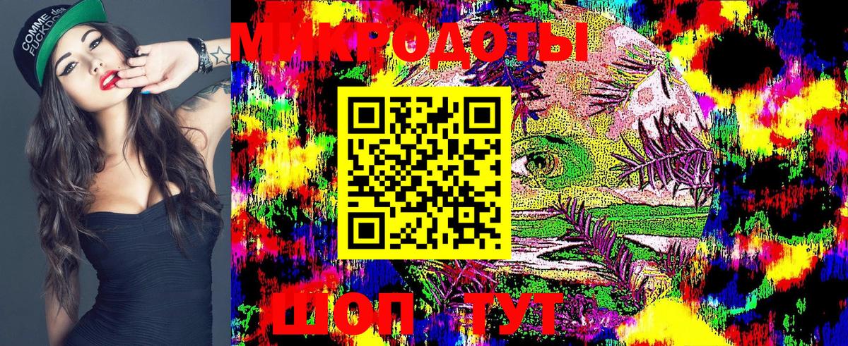 Псилоцибиновые грибы Cubensis Димитровград