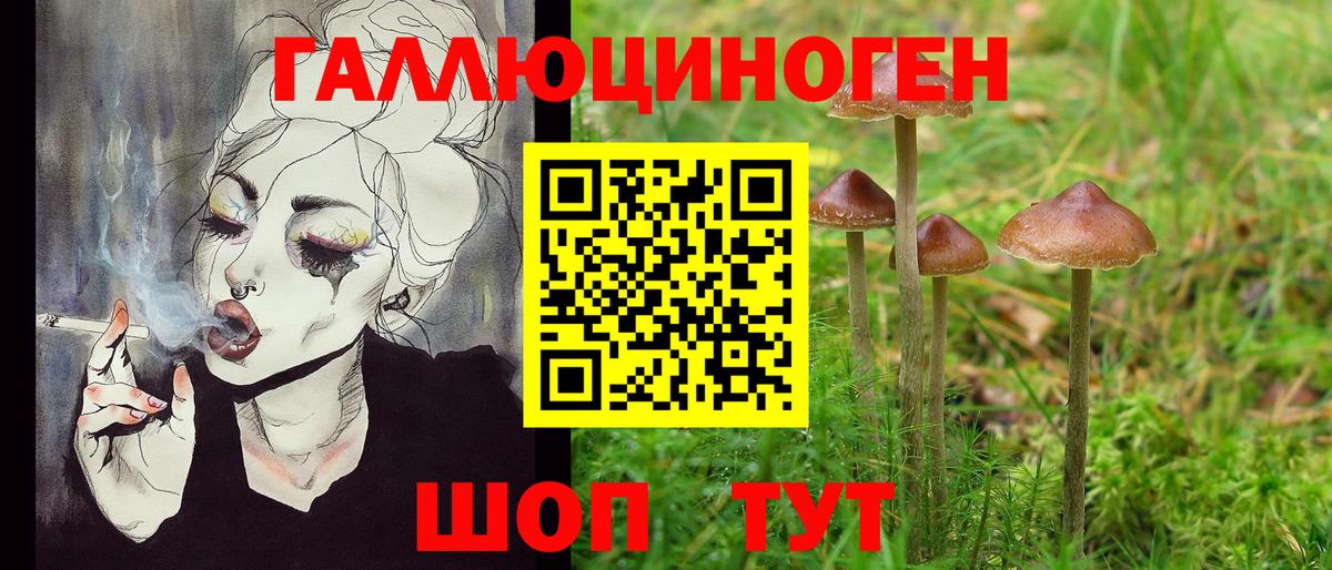 Псилоцибиновые грибы мицелий  хочу наркоту  Димитровград  Вход с VPN 